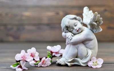 ORGANIZZAZIONE DEL FUNERALE